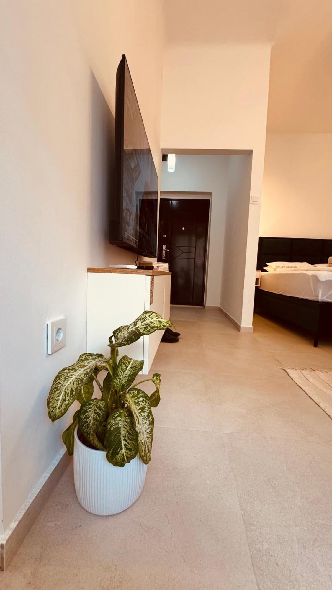 Rosa Canina, Stylish And Brand New Luxury Apartment